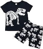 Traje de Niños Camiseta T-Shirt Shorts 2 Piezas Conjunto de Ropa Deportiva Chándal Camisa de Manga Corta Pantalones Cortos Dibujo de Dinosaurio (2-8 Años)